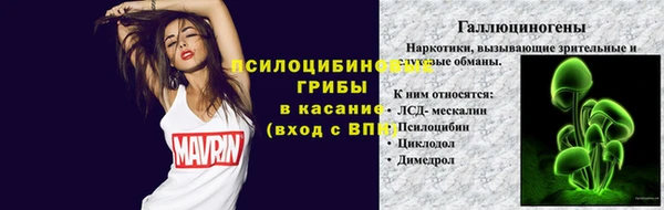 прущая мука Богданович