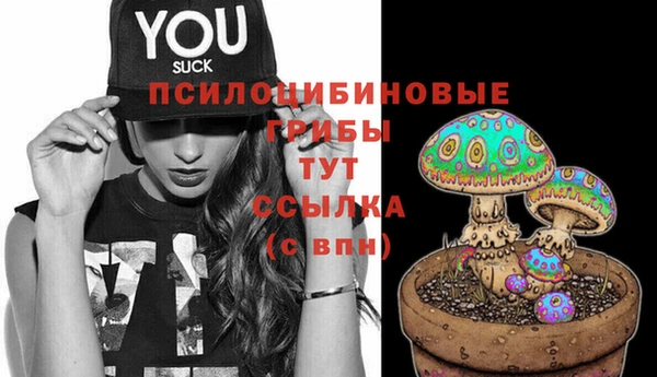прущая мука Богданович